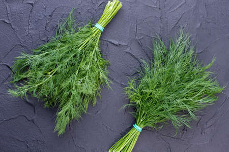 Two bunches of fresh dill, top view. Green garden dill on black natural stone.の写真素材