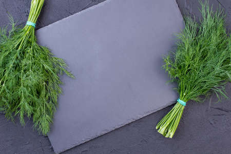Fresh green fennel on slate board. Two bunches of garden dill on slate board with empty space for text. Why to eat dill.の写真素材