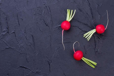 Garden radishes and copy space. Three salad radishes on slate textured background, top view....