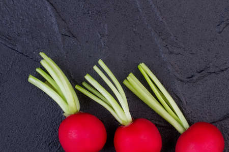 Close up three radishes and copy space. Row of ripe red radishes on dark background. Stay healthy with radish.の写真素材