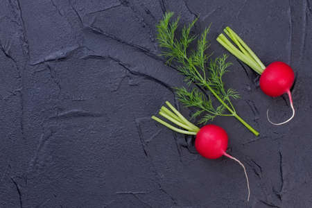 Radishes and dill, copy space. Two red radishes and one branch of garden dill, top view.の写真素材
