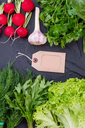 Variety of fresh herbs and vegetables. Fresh culinary herbs and vegetables with blank tag in center, top view.の写真素材
