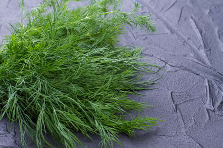 Bunch of fresh dill on black slate. Green garden dill on slate board with copy space. Tasty and...