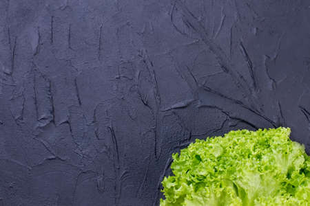 Fresh lettuce on slate, cropped image. Green lettuce salad on textured slate. Difference between lettuce and cabbage.の写真素材
