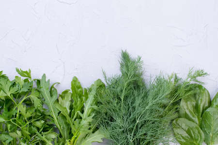 Row of green herbs and copy space. Garden parsley, arugula, dill and spinach. Fresh ingredients for...