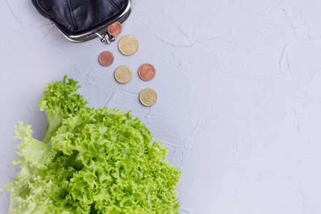 Lettuce, wallet, coins and copy space. Green organic salad and money on textured background, text...