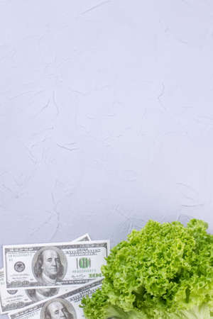 Lettuce with money and copy space. Fresh curly lettuce and dollars with space for text on top. Investment in agriculture.の写真素材