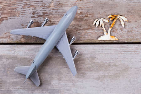 Flat lay design of travel concept with plane and palm tree. Wooden desk surface.