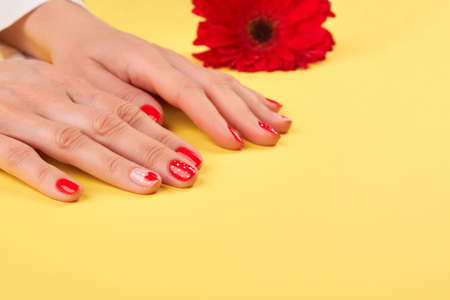 Female manicured hands and flower. Woman hands with beautiful manicure and red gerbera on yellow salon table.の写真素材
