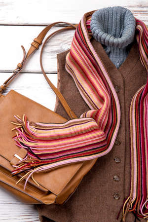 Close up lady winter outfit. Brown jacket, purse and striped scarf.の写真素材