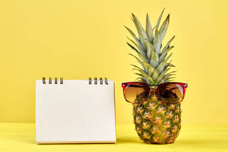 Ananas and empty binder notepad. Pineapple with sunglasses and blank paper notebok on color...