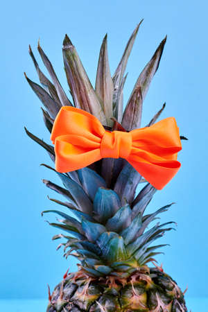 Orange hair bow on pineapple crown. Fresh hawaiian pineapple wearing hair bow on blue background, cropped image.の写真素材