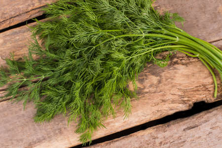 Fresh ripe green dill on wood. Top view. Old rustic wooden desk table background.