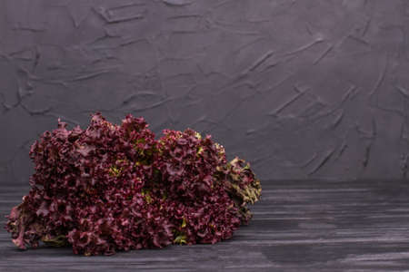 Red Curly Lettuce Leaves. Dark wooden background.の写真素材