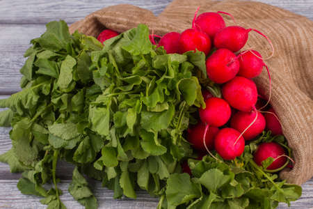 Raw radishes with green leaves. Close up. Grey wooden table background.