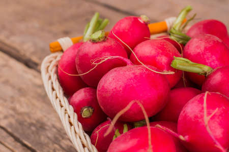 Pile of radishes and wicked basket. Close up. Focused heap of ripe pink radishes.の写真素材