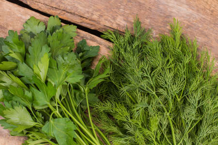 Bunches of dill and parsley. Cooking fresh salad, wooden table background.の写真素材