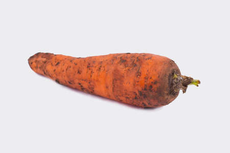 Raw ripe dirty carrot. White isolated background, cutout.の写真素材