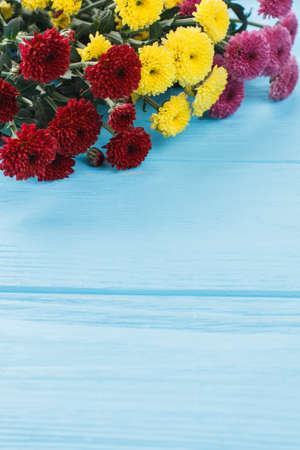 Multicolored dahlia flowers on wood. Close up. Red, yellow and pink flowers.の写真素材