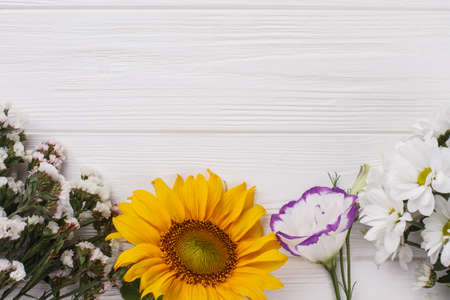Variety of flowers on white wood. Copyspace. Free space for text.の写真素材
