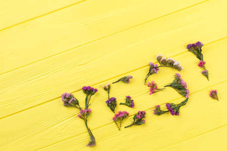 Statice flowers forming statice flowers. Top view. Yellow wooden table surface background.の写真素材