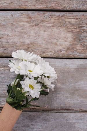 Bouquet of chamomile on old wooden background. Close up. Top view.の写真素材