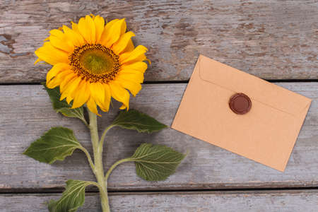 Sunflower and post mail with wax stamp. Old vintage wooden desk surface background.の写真素材