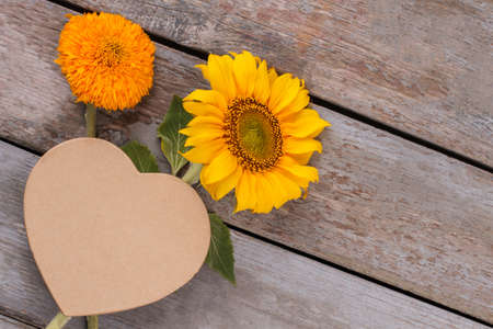 Love concept, sunflowers. Blank heart shape cardboard. Old vintage wooden desk surface background.の写真素材