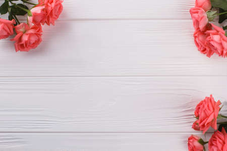 Three bouquets of roses on wood and copyspace. Free space for text. White wood background.の写真素材