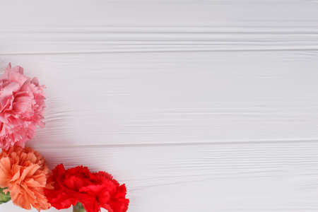 Carnation flowers and copyspace. Top view. White wooden background.の写真素材
