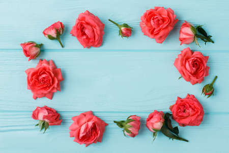 Roses round composition. Top view, flat lay. Blue wooden background.の写真素材