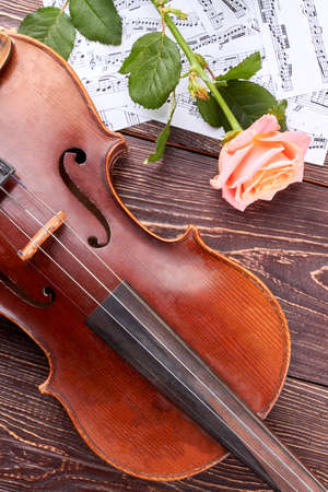 Violin, musical notes and pink rose. Old brown violin with musical sheets and rose on wooden background, vertical image.の写真素材