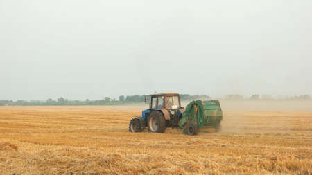 Tracktor on a yellow field. Tracktor collecting hay in meadow at autumn.