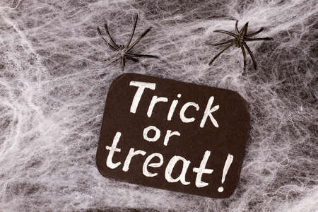 Halloween background with web and spiders. Halloween holiday concept with decorative web and...