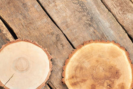 Tree slices on wooden boards. Natural wood slices and copy space. Wooden slices for craft.の写真素材