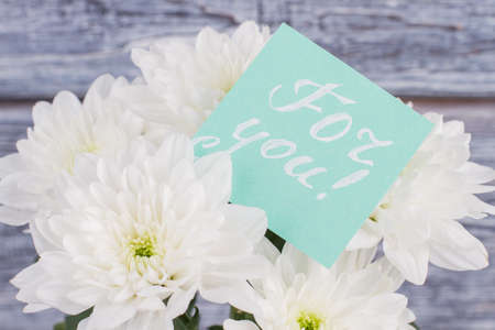 Bouquet of flowers and love message close up. Love you card on blooming chrysanthemum flowers. Valentines holiday background.の写真素材