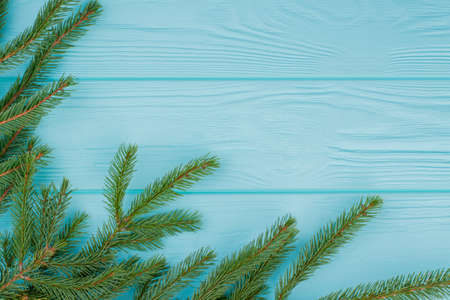 Spruce twigs border on color background. Green Christmas tree branches on blue wooden background...