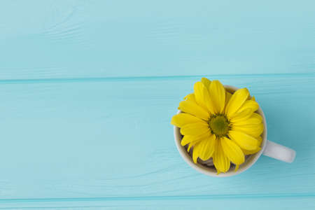 Tea cup with yellow flower. Top view. Blue wood background.