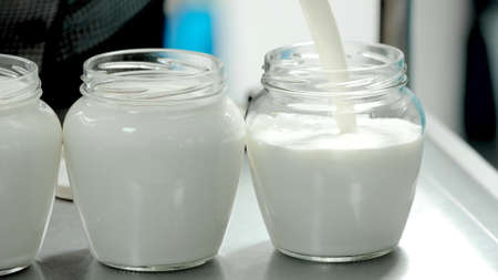 Preparation of dairy product close up. Close up glass containers with fresh milk. How to make milk kefir.の写真素材