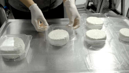 Production of dairy products. Female worker in protective gloves taking fresh cheese wheel ready for...