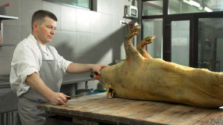 Professional butcher at slaughterhouse. Freshly slaughtered pig carcass on wooden table at butchery....