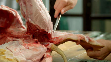 Butcher cuts pork meat in a slaughterhouse. Male butcher splitting raw pig carcass with knife close up. Meat processing factory.の写真素材