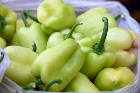 Big green bell peppers close up. Heap of large organic peppers. Healthy vegetables grown at organic farm.の写真素材