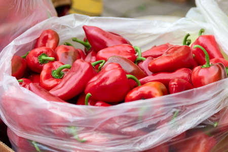 Pile of organic sweet peppers. Fresh healthy vegetable at street market. Natural homegrown product.の写真素材