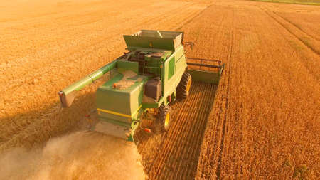 Tetiiv, Ukraine. Combine harvester on golden field.の写真素材