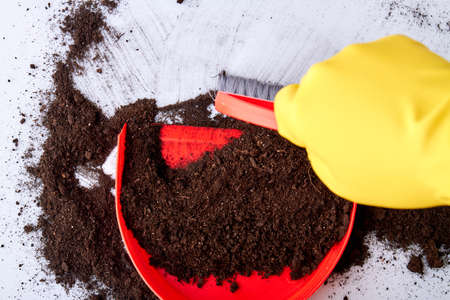 Close up of sweeping soil with red brush and dustpan. Person with protective gloves sweeping floor...