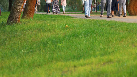 Urban park lawn close up. People walking in summer park, cropped image.の写真素材