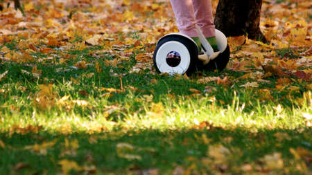 Child riding on electrical board, cropped image. Fallen autumn oak leaves.