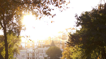 Bright sunshine above town buildings. Green trees and sunshine in the park.の写真素材