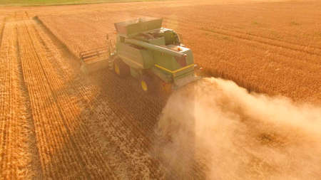 Combine harvester in action. Basics of agribusiness.